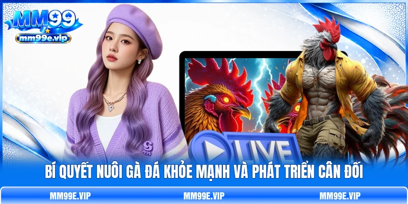 Bí Quyết Nuôi Gà Đá Khỏe Mạnh Và Phát Triển Cân Đối