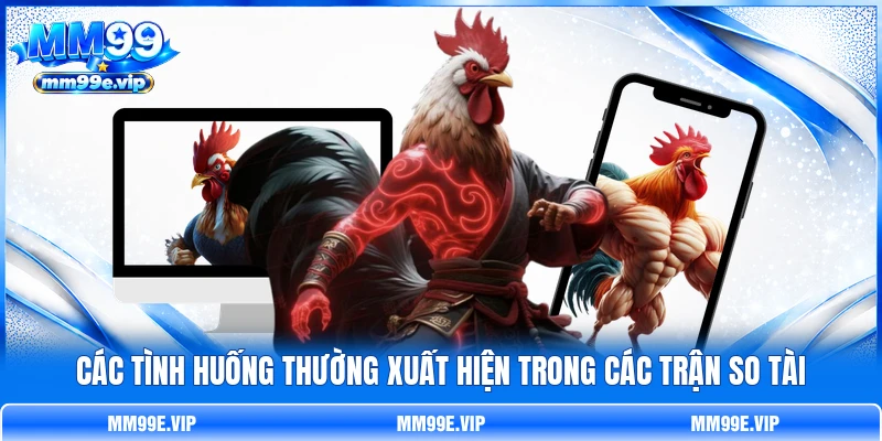 Các tình huống thường xuất hiện trong các trận so tài