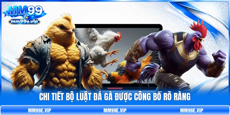 Chi tiết bộ luật đá gà được công bố rõ ràng