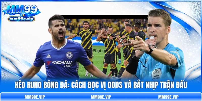 Kèo Rung Bóng Đá: Cách Đọc Vị Odds Và Bắt Nhịp Trận Đấu