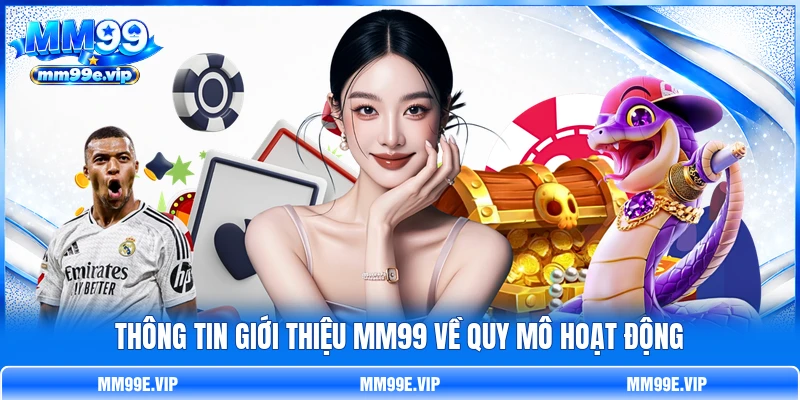 Thông tin giới thiệu MM99 về quy mô hoạt động
