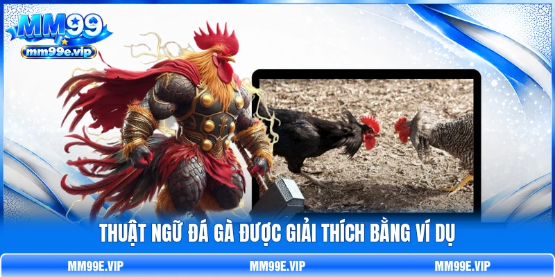 Thuật ngữ đá gà được giải thích bằng ví dụ