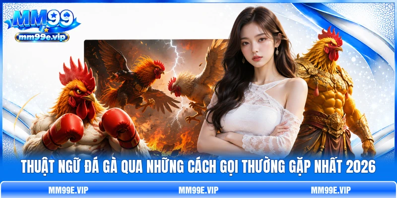 Thuật Ngữ Đá Gà Qua Những Cách Gọi Thường Gặp Nhất 2026